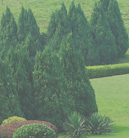 手机被攻击连续收电话