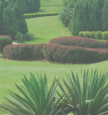 无限呼叫别人电话的软件