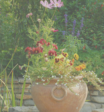 手机号狂轰滥炸软件